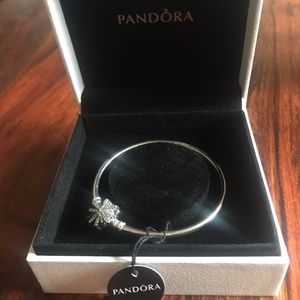Pandora Bracelet